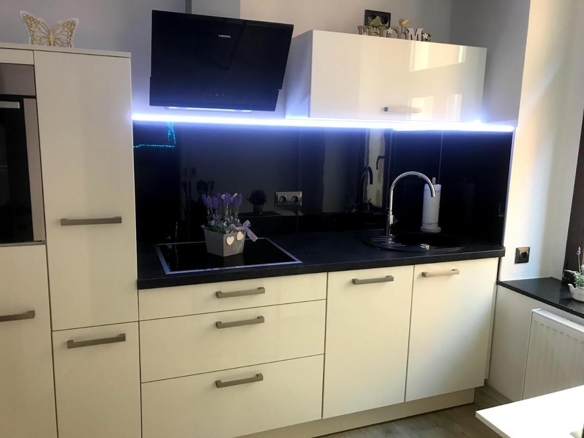 Salzhausblick Business Apartments - Zentrale Lage Am Salzhaus - Mwst-Rechnung Verfuegbar Żytawa Pokój zdjęcie